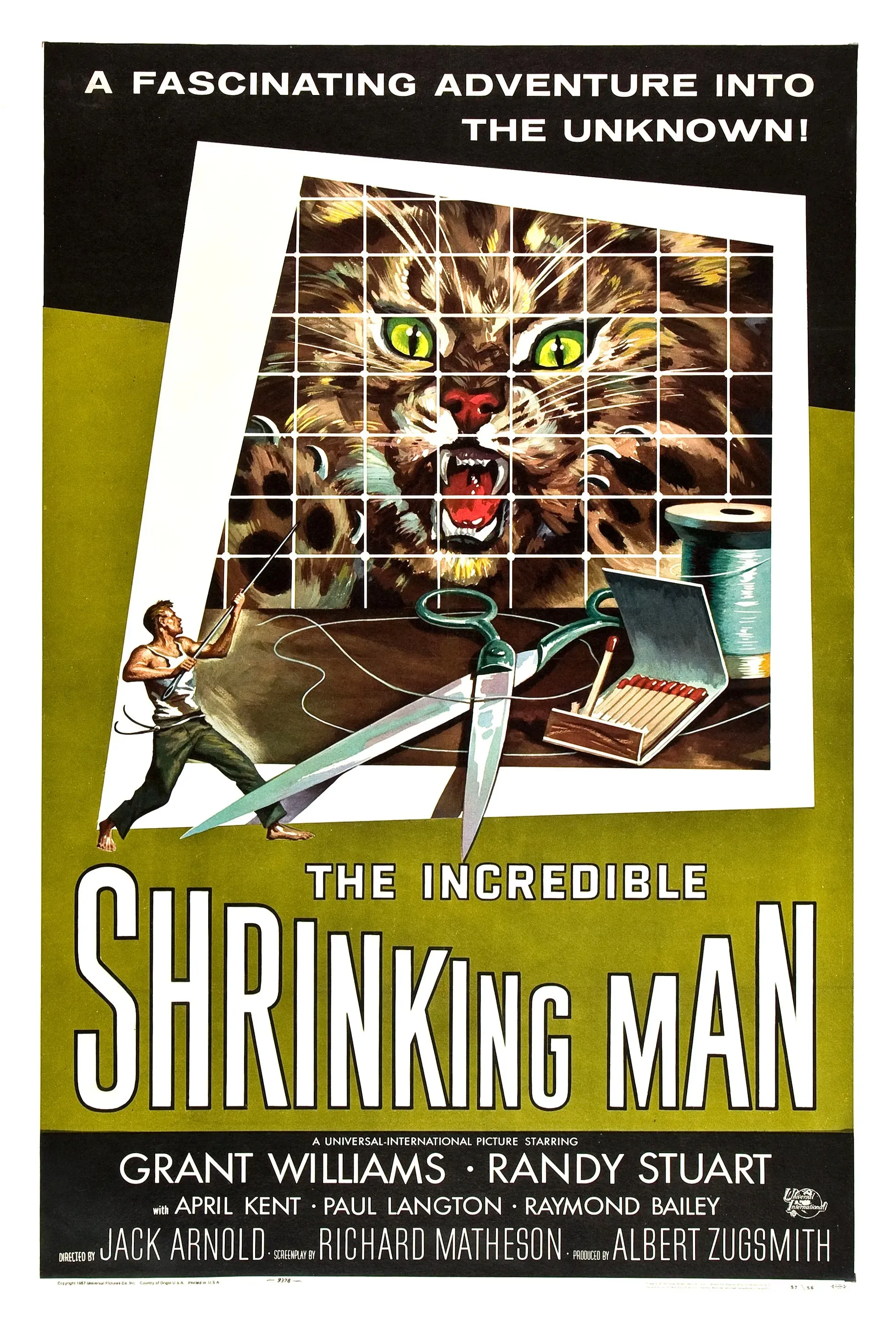 The Incredible Shrinking Man The Incredible Shrinking Man
